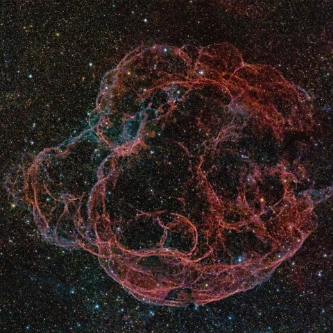 Sh2-240 スパゲティ星雲