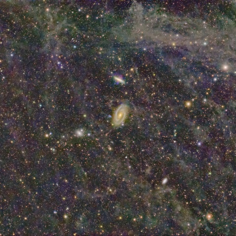 M81、M82周辺の分子雲