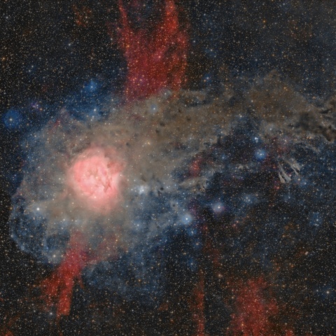 IC5146 火の玉星雲?