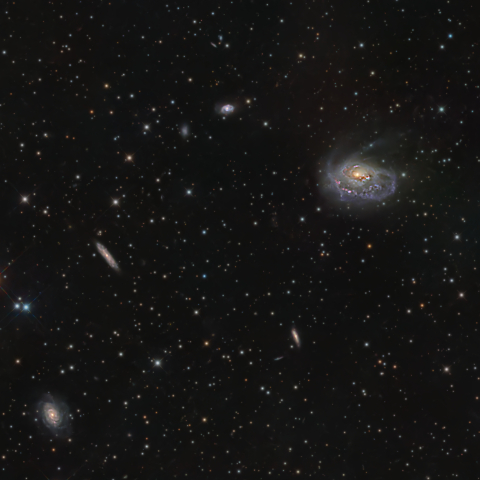 NGC1961