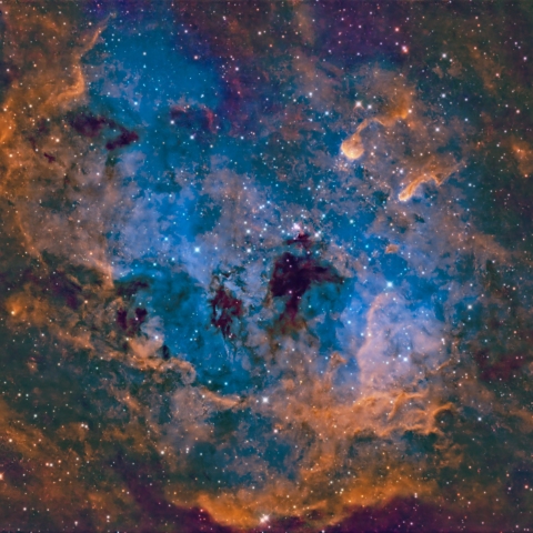 IC410 おたまじゃくし星雲