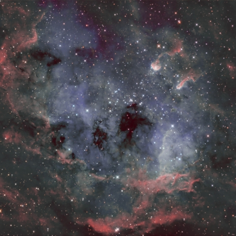 IC410 別カラーバージョン