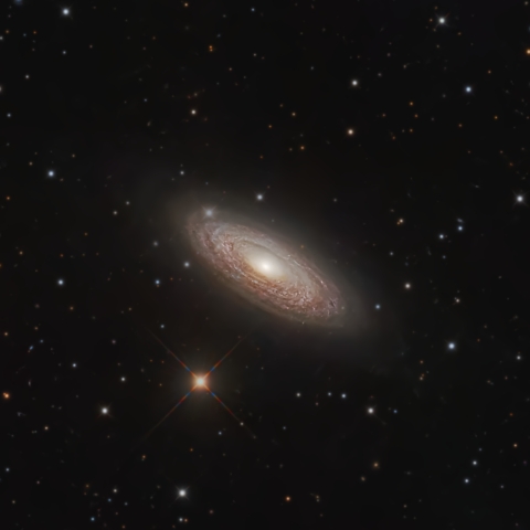 NGC2841 虎の目銀河