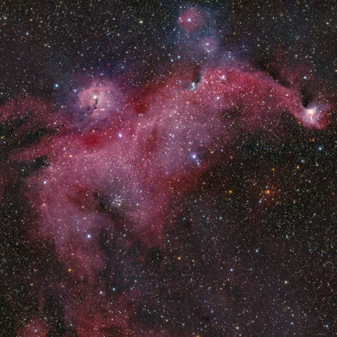 IC2177 かもめ星雲