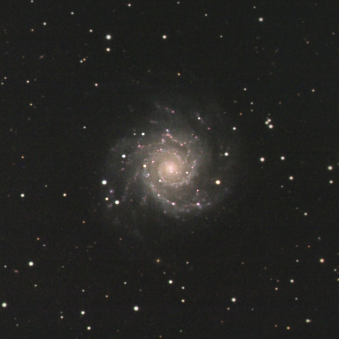 M74
