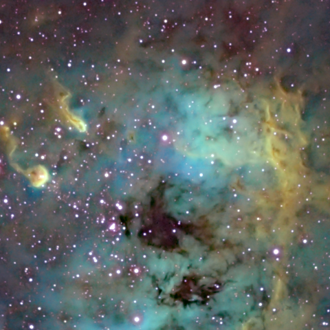 IC410 オタマジャクシ星雲