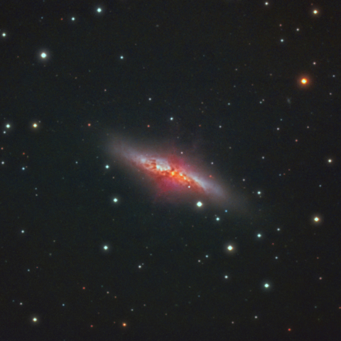 M82