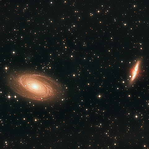M81 and M82