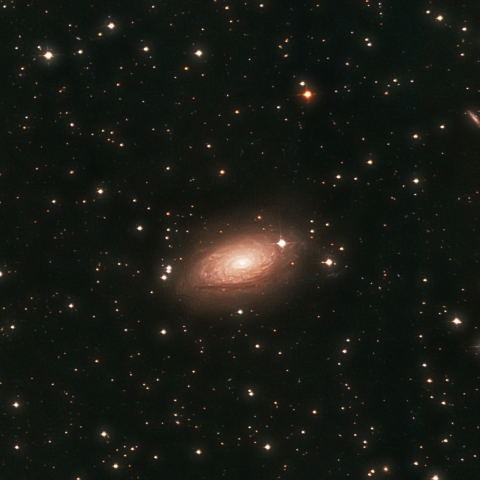 M63