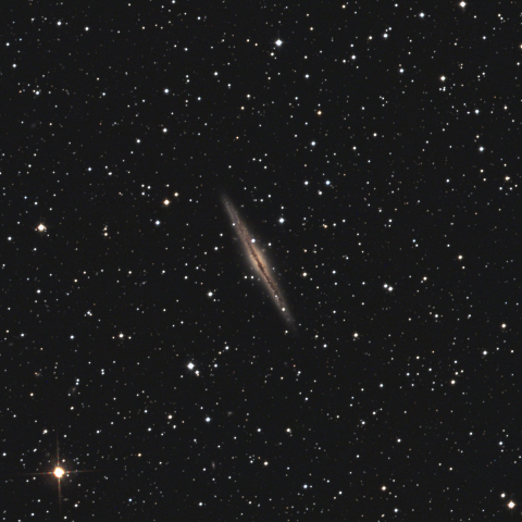 NGC891