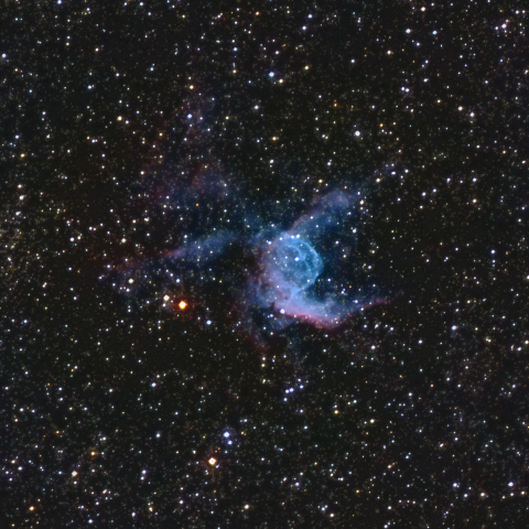 NGC2359