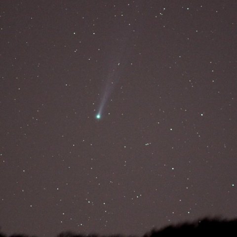 増光したアイソン彗星