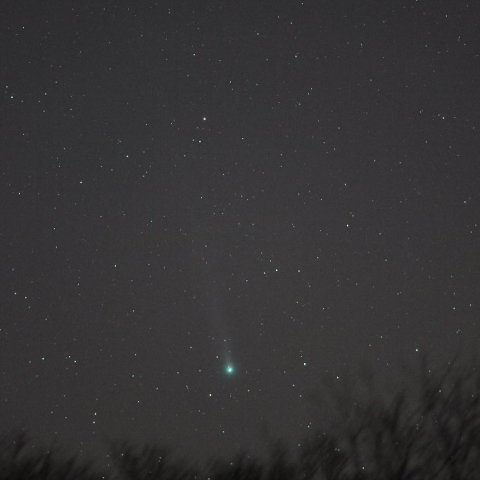 昇ってきたラブジョイ彗星