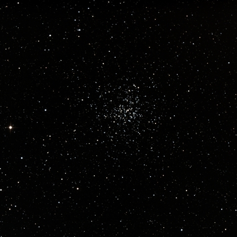 M37ぎょしゃ座の散開星団