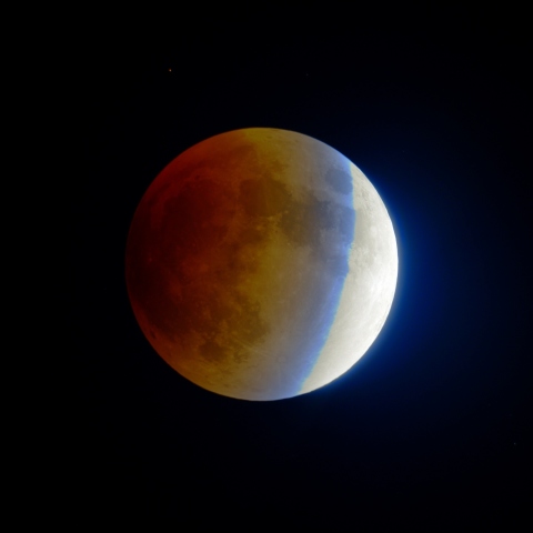 ターコイズフリンジ