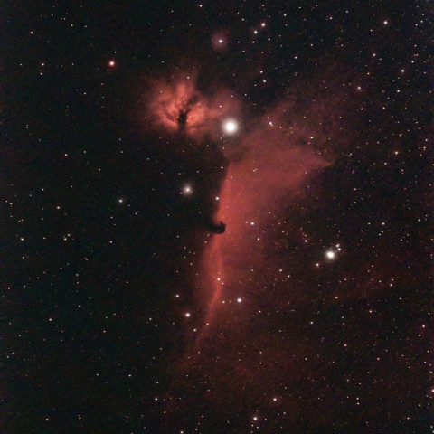馬頭星雲