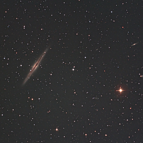 NGC891