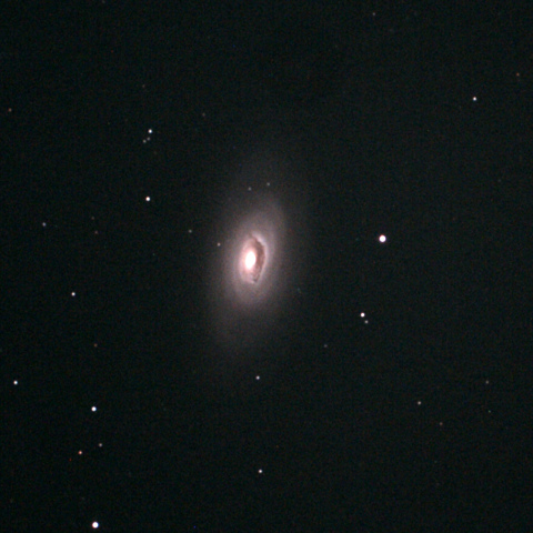M64