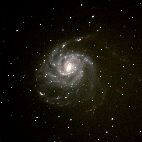 M101