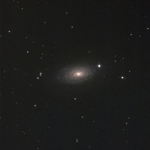 M63