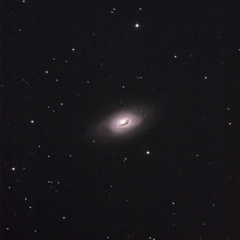 M64