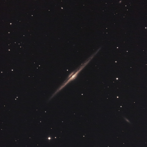 NGC4565
