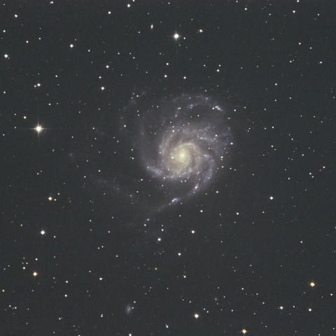 M101銀河