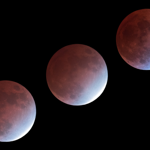 約10分間の食の変化