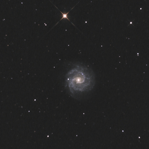 NGC3184銀河