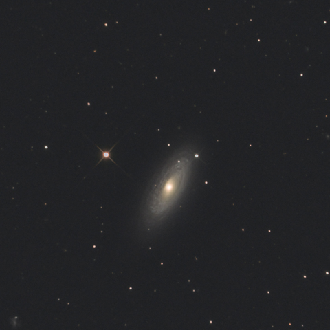 NGC2841銀河
