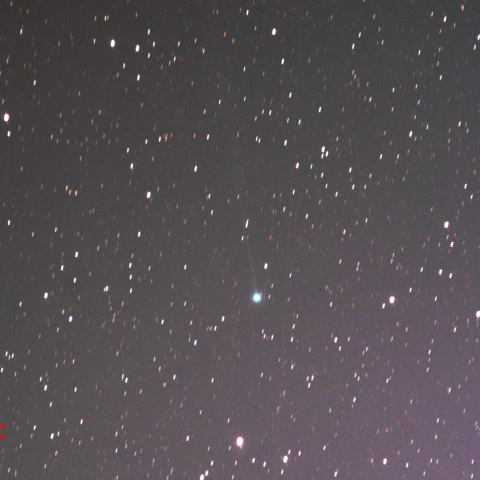 かに座に入った西村彗星