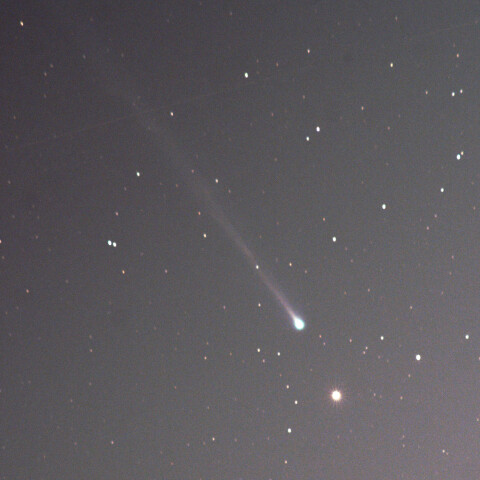 見事な尾を引く西村彗星