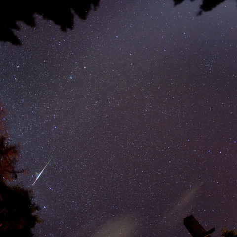 2009　しし座流星群