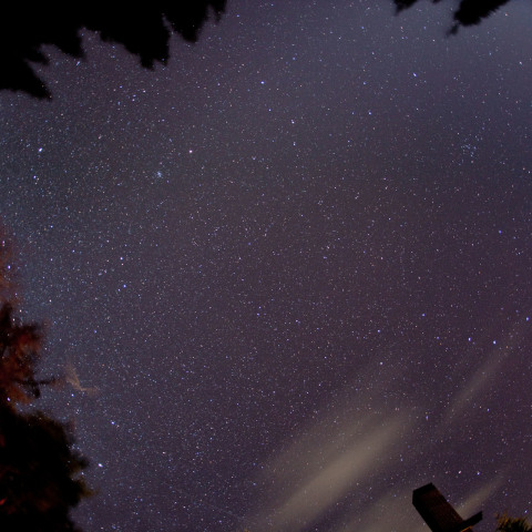 2009　しし座流星群　流星痕