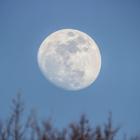 ムーンライズ　2014.2.12