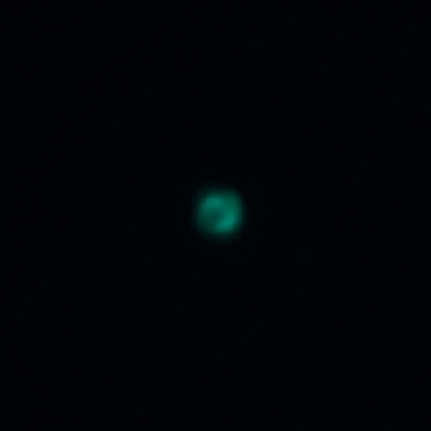 NGC7662 青い雪だるま星雲