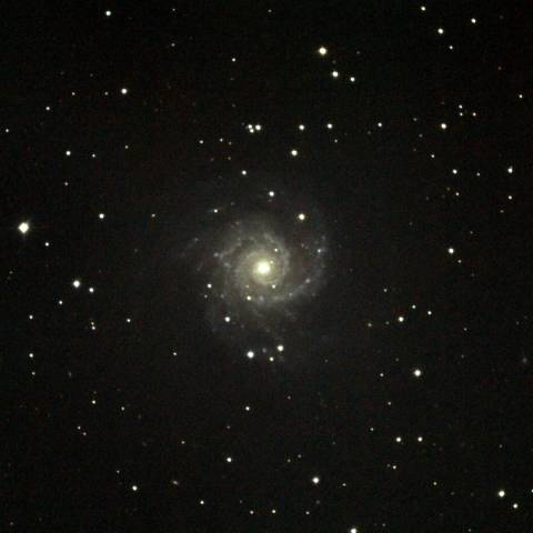 M74