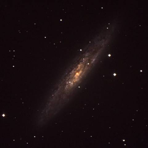 NGC253