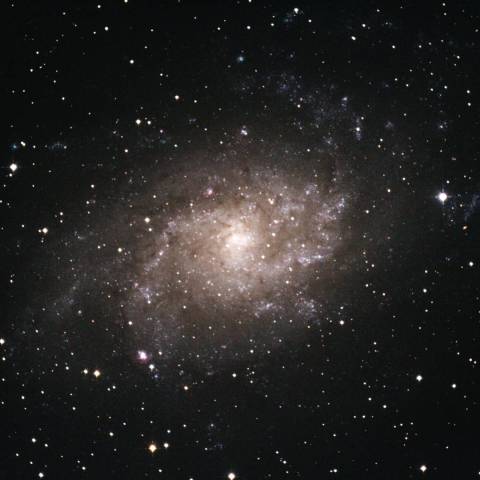 M33