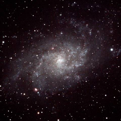 M33