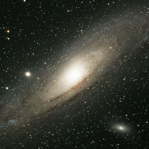 M31