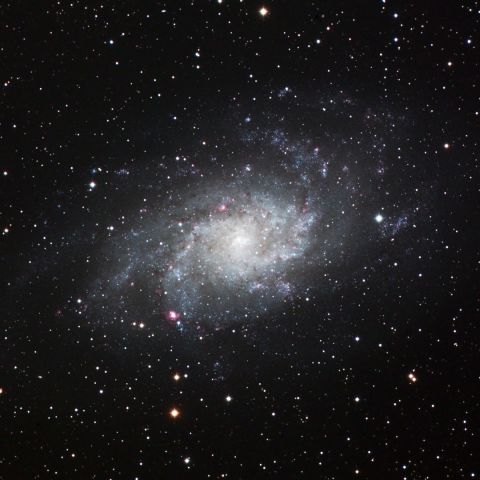 M33