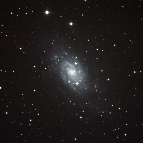 NGC2403