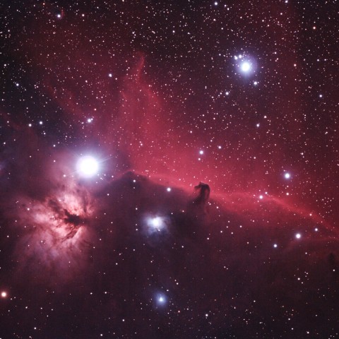 馬頭星雲・燃木星雲