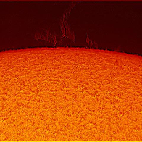 久々の目立つプロミネンス