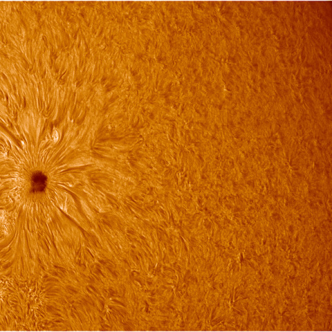 ここ1〜2年では出現が希な黒点