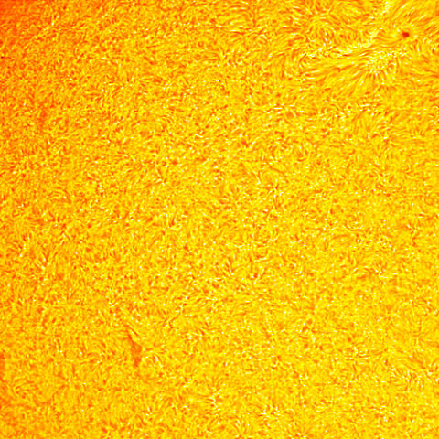 プロミネンス、黒点、ダークフィラメントの競演