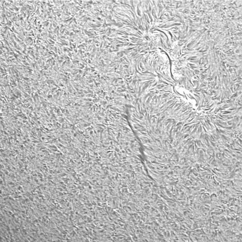 ダークフィラメント