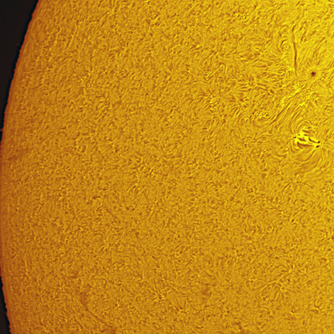 プロミネンス・黒点・プラージュ・ダークフィラメントの競演