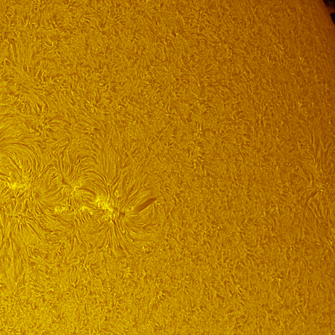 プロミネンス・黒点・プラージュ・ダークフィラメントの競演